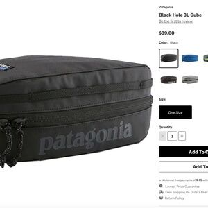 Patagonia packing cube